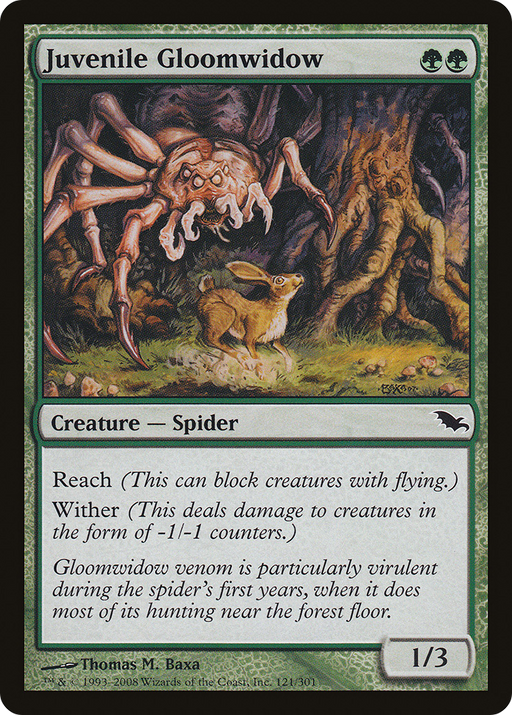 Juvenile Gloomwidow (SHM-121) [Shadowmoor] Foil MTG Single Wizards of the Coast