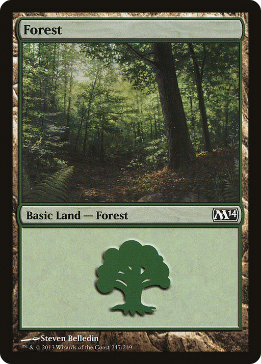 Forest (M14-247) [Magic 2014] Foil MTG Single Wizards of the Coast