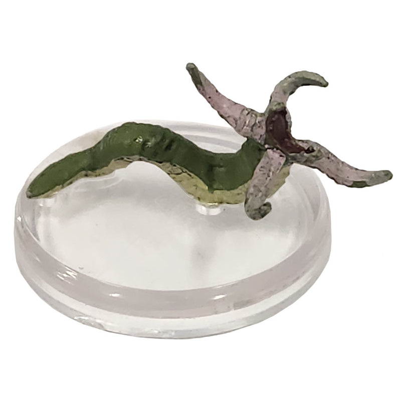 D&D Icons Of The Realms: Quests from the Infinite Staircase #08 Grick (C) RPG Miniatures WizKids