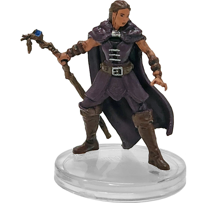 D&D Icons Of The Realms: Seas & Shores: Seas & Shores 11 Druid (C) RPG Miniatures WizKids   