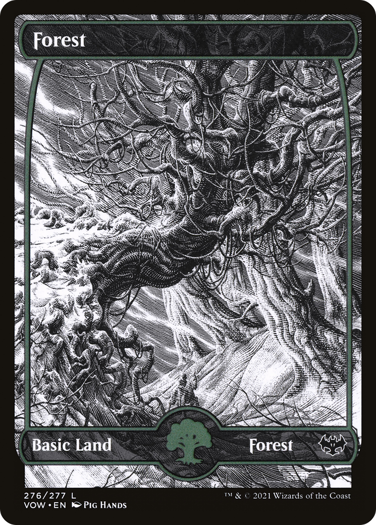 Forest (276) (VOW-276) [Innistrad: Crimson Vow] (Showcase) MTG Single Wizards of the Coast