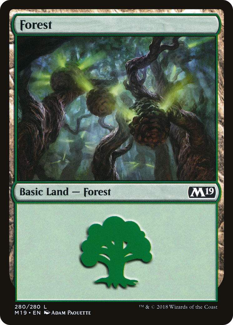 Forest (M19-280) [Core Set 2019] Foil MTG Single Wizards of the Coast