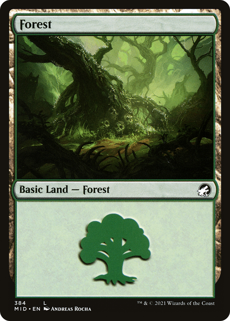 Forest (384) (MID-384) [Innistrad: Midnight Hunt] MTG Single Wizards of the Coast