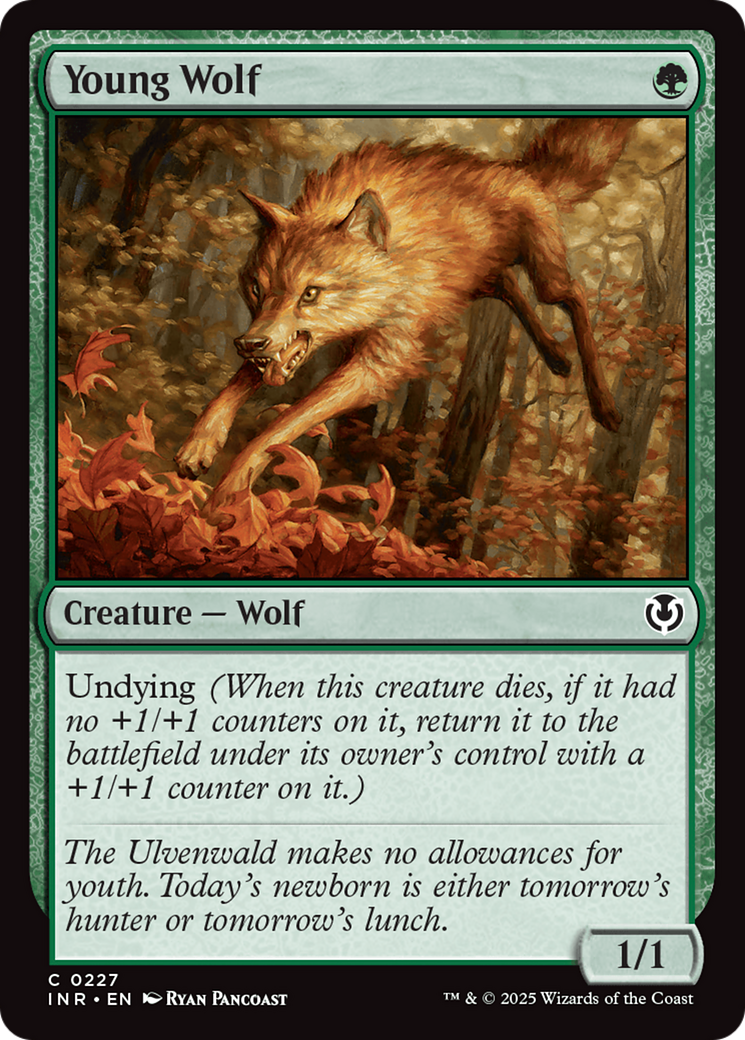 Young Wolf (INR-227) [Innistrad Remastered] MTG Single Wizards of the Coast