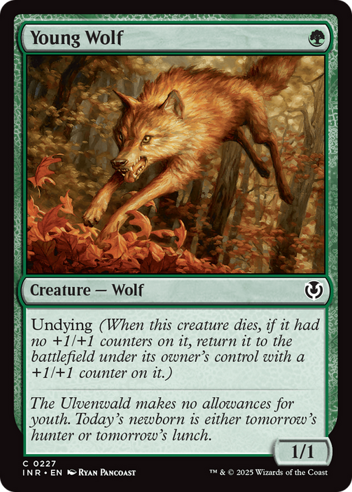 Young Wolf (INR-227) [Innistrad Remastered] MTG Single Wizards of the Coast