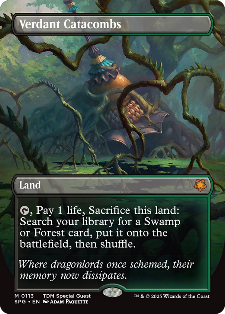 Verdant Catacombs (SPG-113) [Special Guests] (Borderless) Foil MTG Single Wizards of the Coast