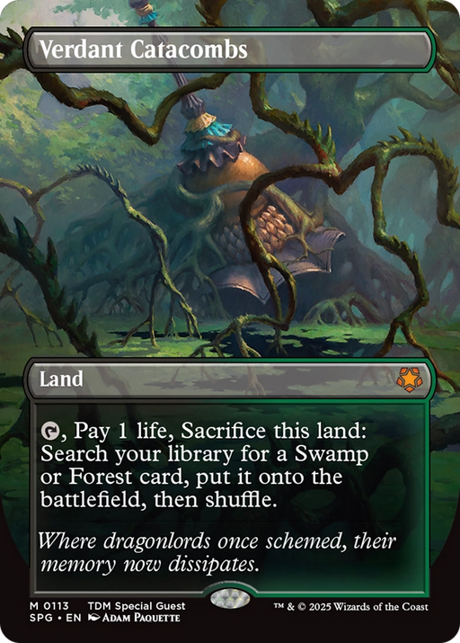 Verdant Catacombs (SPG-113) [Special Guests] (Borderless) MTG Single Wizards of the Coast