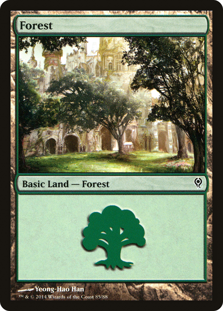 Forest (DDM-085) [Misc] Duel Decks: Jace vs. Vraska MTG Single Wizards of the Coast