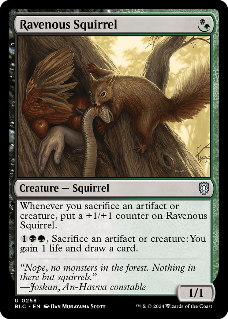 Ravenous Squirrel (BLC-258) [Bloomburrow Commander] MTG Single Wizards of the Coast
