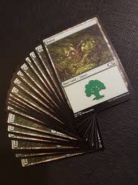 Basic Lands Pack - 10 Forest Non-Foil MTG Single Magic: The Gathering
