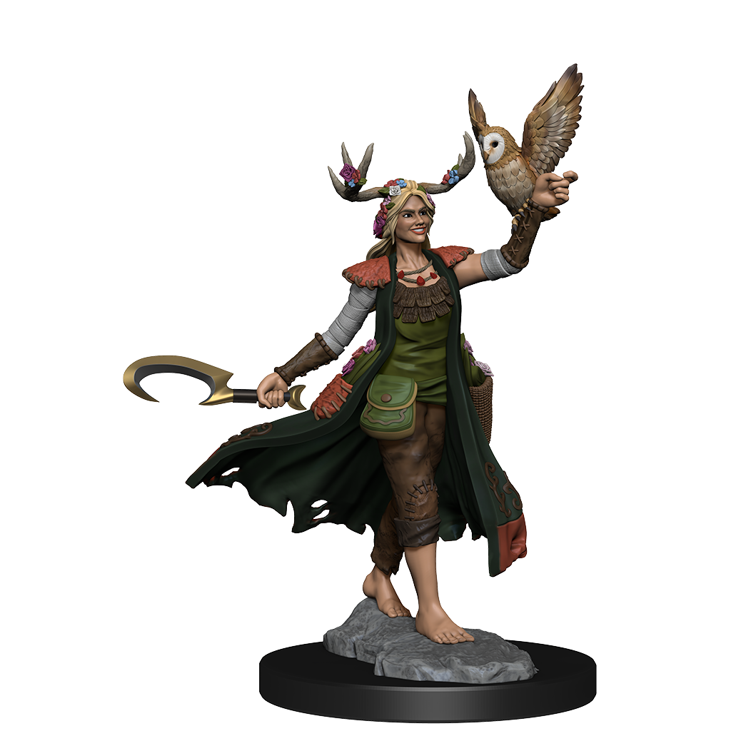 D&D Frameworks: W1 Human Druid Female RPG Miniatures WizKids