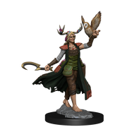 D&D Frameworks: W1 Human Druid Female RPG Miniatures WizKids