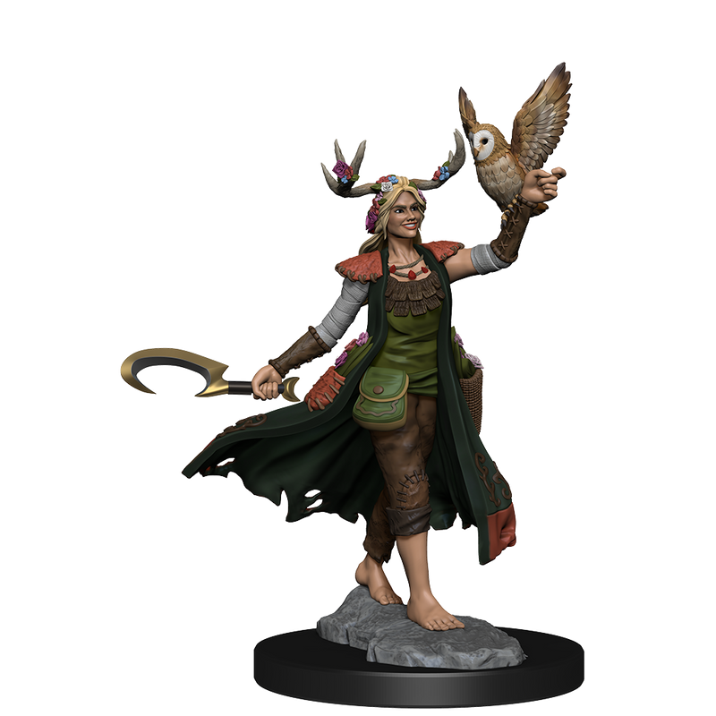 D&D Frameworks: W1 Human Druid Female RPG Miniatures WizKids