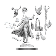 D&D Frameworks: W1 Human Druid Female RPG Miniatures WizKids