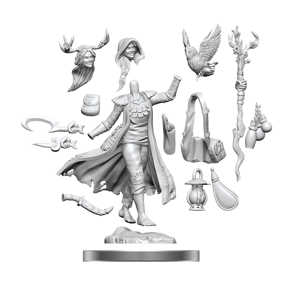 D&D Frameworks: W1 Human Druid Female RPG Miniatures WizKids