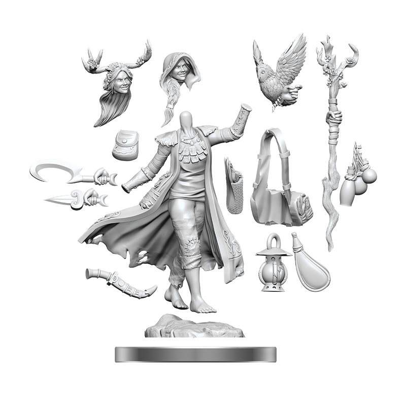 D&D Frameworks: W1 Human Druid Female RPG Miniatures WizKids