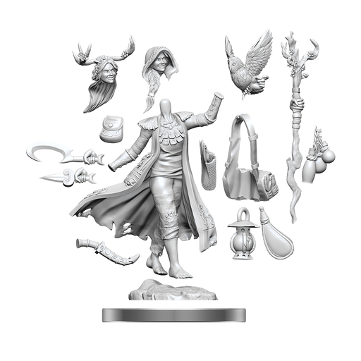 D&D Frameworks: W1 Human Druid Female RPG Miniatures WizKids