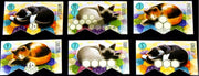 Calico Board Games Flatout Games   