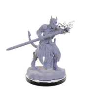 D&D Nolzur's Marvelous Miniatures: W22 Tiefling Warlocks Unpainted Miniatures WizKids