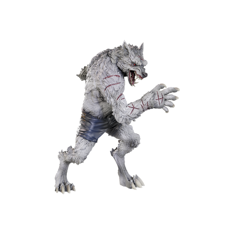 Critical Role Unpainted Miniatures: W23 Chetney Pock O'pea & Werewolf Unpainted Miniatures WizKids