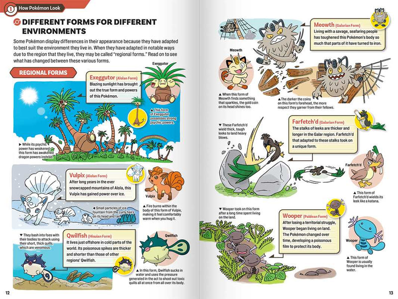 Pokécology: An Illustrated Guide to Pokémon Ecology
