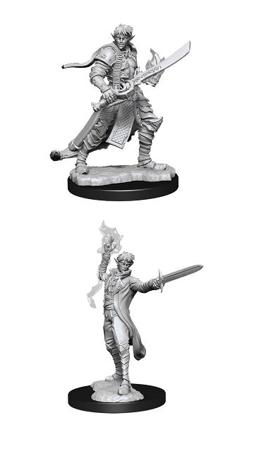Pathfinder Battles Miniatures: W11 Male Elf Magus (Magic User) RPG Miniatures WizKids   