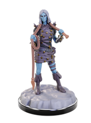 Pathfinder Battles Miniatures: W22 Urdefhan Death Scout & Lasher RPG Miniatures WizKids   