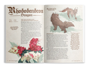 The Field Guide to Floral Dragons (Deluxe HC) Dungeons & Dragons 5E Hit Point Press