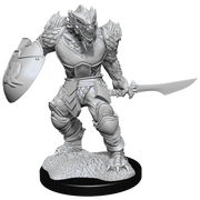 D&D Nolzur’s Marvelous Miniatures: W15 Dragonborn Fighter (Male) RPG Miniatures WizKids