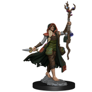 D&D Frameworks: W1 Human Druid Female RPG Miniatures WizKids