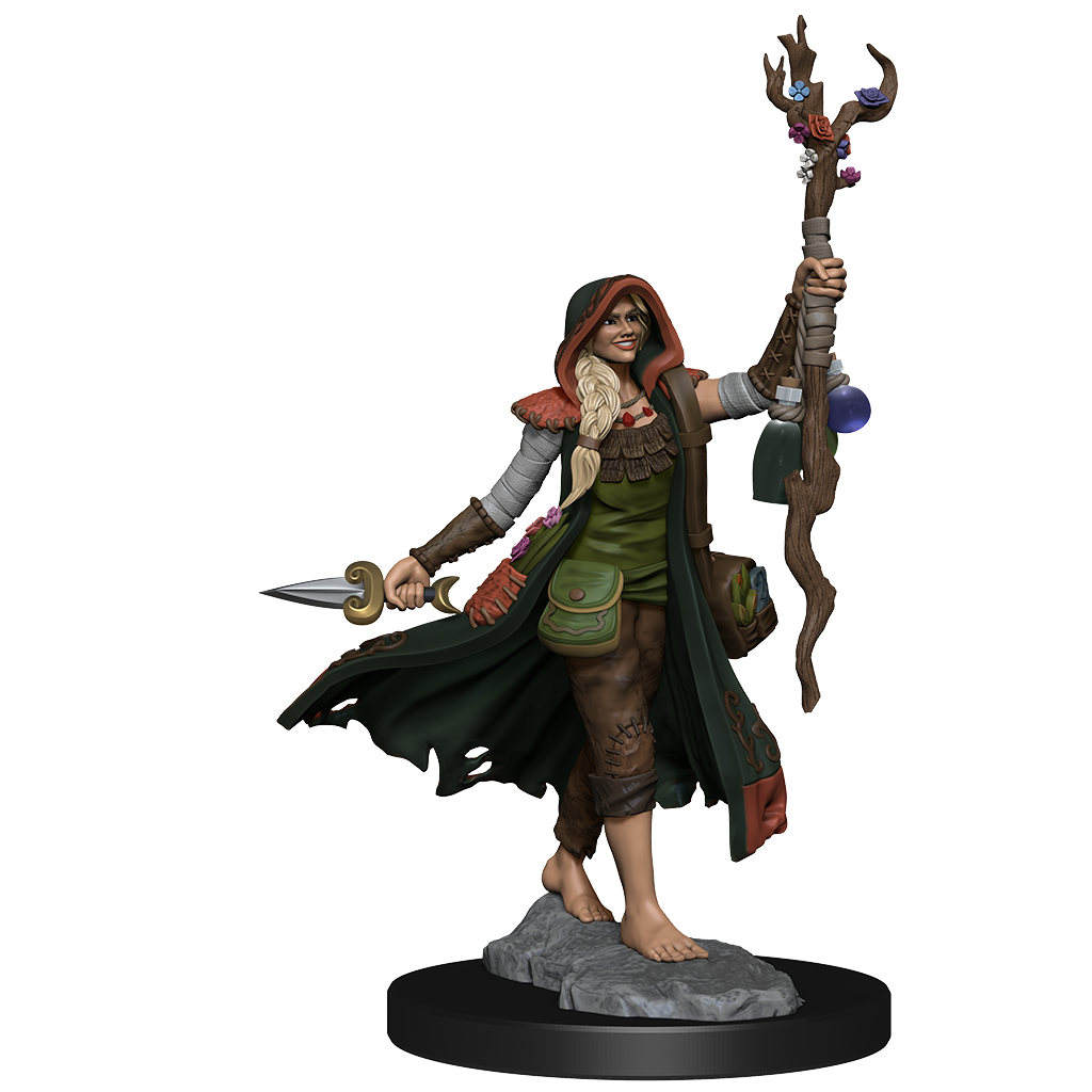 D&D Frameworks: W1 Human Druid Female RPG Miniatures WizKids