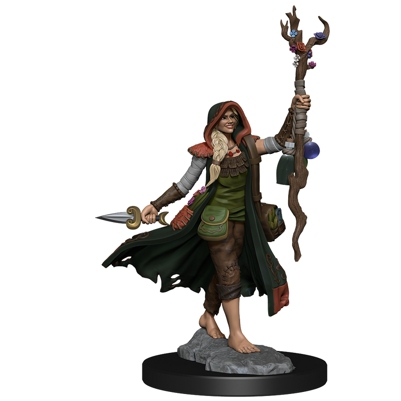 D&D Frameworks: W1 Human Druid Female RPG Miniatures WizKids