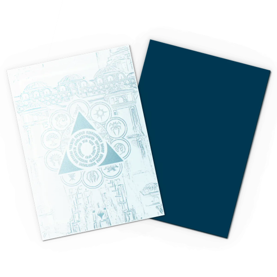 Dragon Shield: Dual Matte Art Sleeves - "Azorius Senate" MTG Guildpact Series 100Ct Card Sleeves Dragon Shield