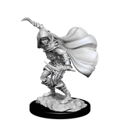 Pathfinder Battles Miniatures: W14 Human Rogue Female RPG Miniatures WizKids