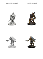 D&D Nolzur's Marvelous Miniatures: W3 Male Human Paladin Unpainted Miniatures WizKids