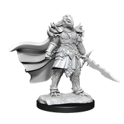 D&D Nolzur’s Marvelous Miniatures: W15 Dragonborn Fighter (Female) RPG Miniatures WizKids