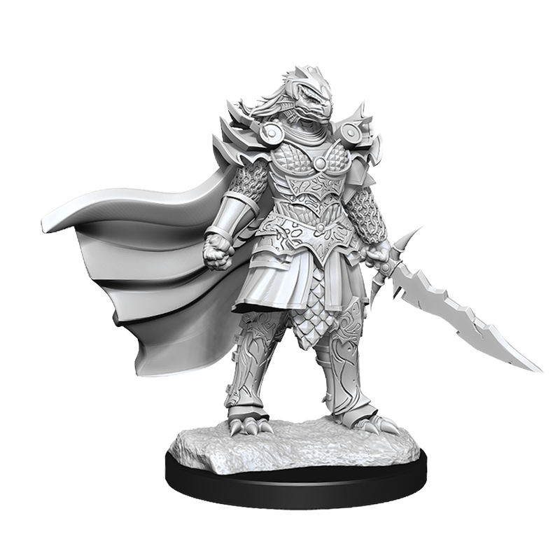 D&D Nolzur’s Marvelous Miniatures: W15 Dragonborn Fighter (Female) RPG Miniatures WizKids