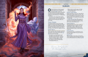 Cosmere RPG: Stormlight Handbook Book Brotherwise Games