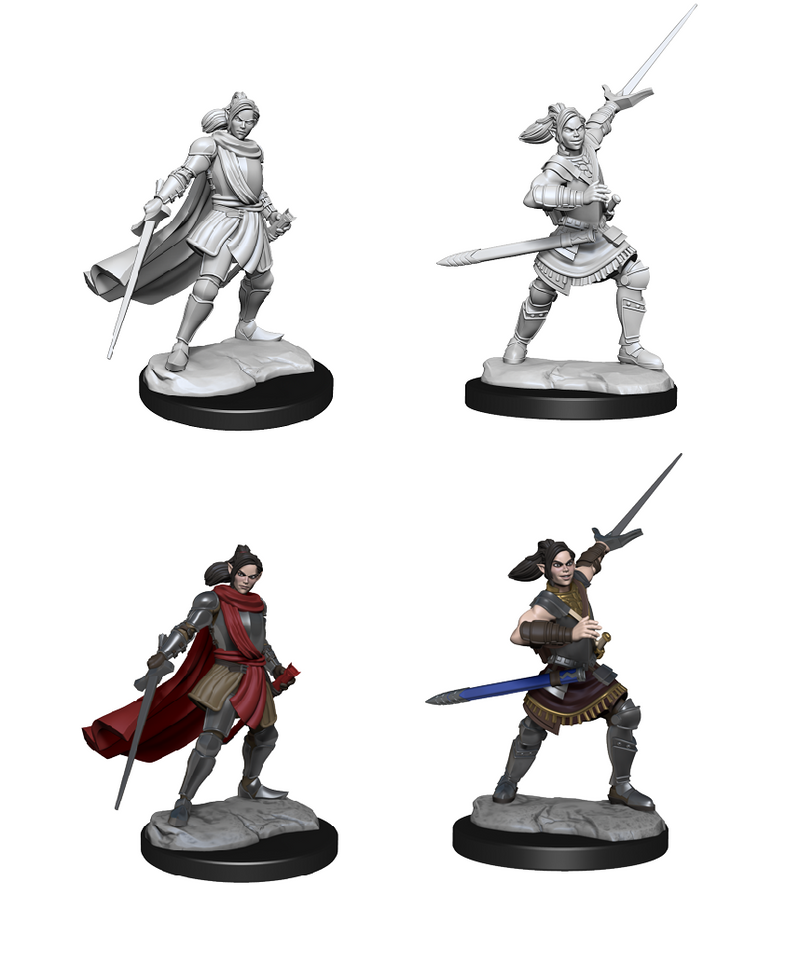 Critical Role Unpainted Miniatures: W1 Half-Elf Xhorhas Paladin Unpainted Miniatures WizKids