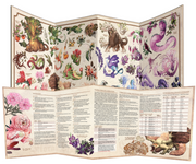 The Field Guide to Floral Dragons: GM Screen Dungeons & Dragons 5E Hit Point Press