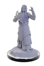 D&D Nolzur's Marvelous Miniatures: W22 Elf Wizards Unpainted Miniatures WizKids