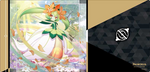 Playmats