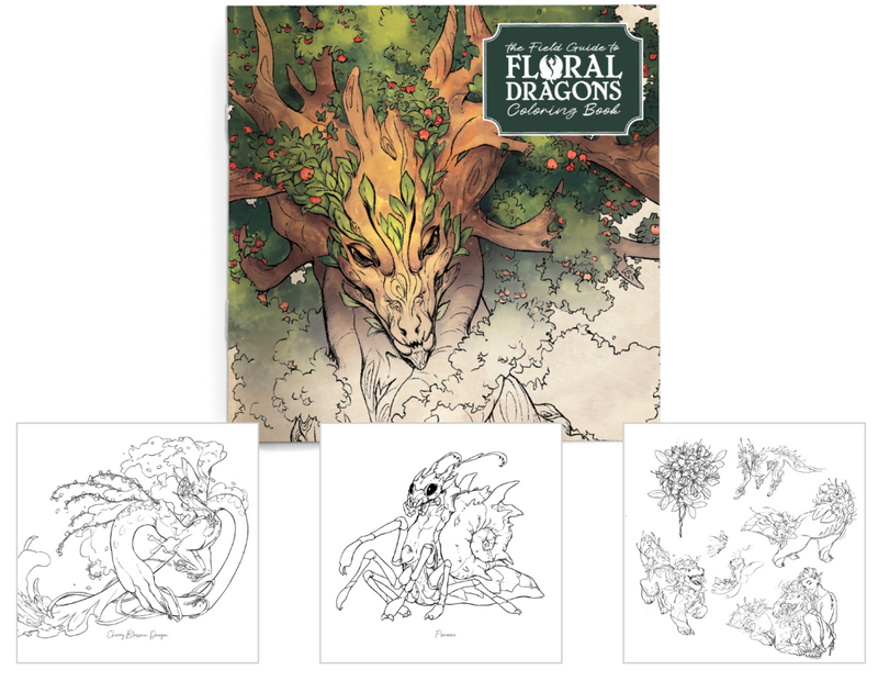 The Field Guide to Floral Dragons: Colouring Book Dungeons & Dragons 5E Hit Point Press