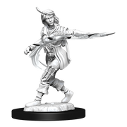 Pathfinder Battles Miniatures: W14 Human Rogue Female RPG Miniatures WizKids
