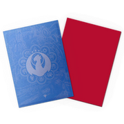 Dragon Shield: Dual Matte Art Sleeves - "Izzet League" MTG Guildpact Series 100Ct Card Sleeves Dragon Shield