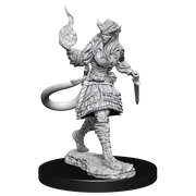 D&D Nolzur’s Marvelous Miniatures: W15 Tiefling Sorcerer Female RPG Miniatures WizKids