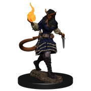 D&D Nolzur’s Marvelous Miniatures: W15 Tiefling Sorcerer Female RPG Miniatures WizKids