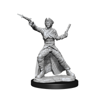 WizKids Deep Cuts Unpainted Miniatures: W15 Bounty Hunter & Outlaw Unpainted Miniatures WizKids