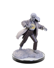 D&D Nolzur's Marvelous Miniatures: W22 Reborn Paladin & Warlock Unpainted Miniatures WizKids