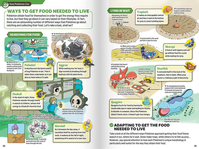 Pokécology: An Illustrated Guide to Pokémon Ecology